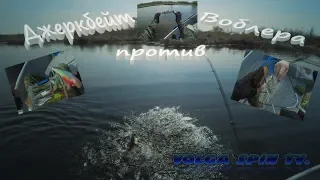 Джеркбейт против Воблера в начале сезона. #Jerkbait #pike #Fish #volgaspintv