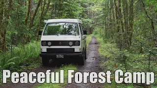 Peaceful Forest Camp - Dispersed Camping in our Vanagon