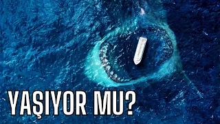 Megalodon Şu An Yaşıyor Olabilir Mi?