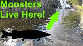 Fishing For Giant Predators! [Primordial Fishing Episode 54]