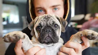 Die HUNDE WELPEN sind RIESIG!!! | Welpen Vlog #3