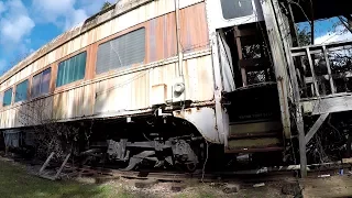 Abandoned Train Cars