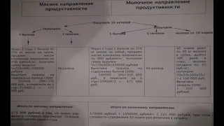 Мясное или молочное?  Сравниваем эффективность