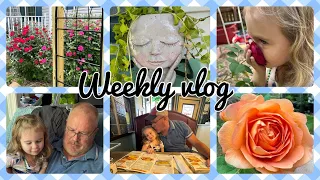 Weekly vlog, busy week and front yard garden tour.