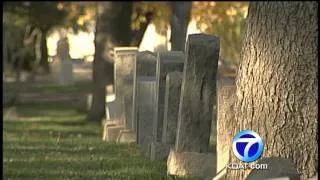 Couple Weds In Cemetery On Halloween Night