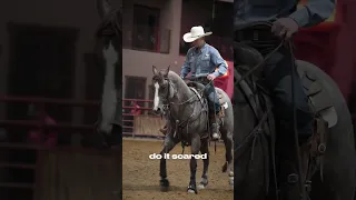 Just do it. 💯 #horses #texas #horsetrainer #nrcha #cowhorse #aqha #cowboy #yellowstone #western