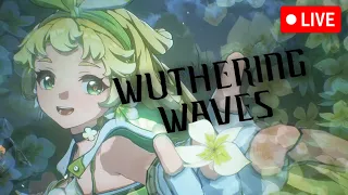 ARRIVAL OF THE CINNAMON ROLL | Wuthering Waves