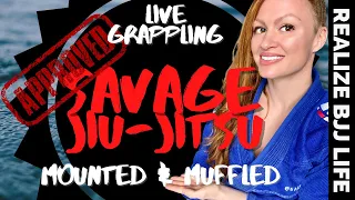 Mounted Triangle + "The Muffler" | LIVE Submission GRAPPLING