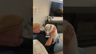 Family surprises dad with new puppy after his dog of 15 years passed 🥹❤️￼