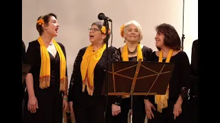 Ukrainian song Vesnyanka by Nevenka Folk Ensemble