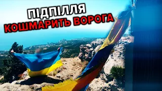 Українське підпілля КОШМАРИТЬ оКУПАНТІВ. Як 🇺🇦спротив вітав загарбників з Днем Незалежності України?