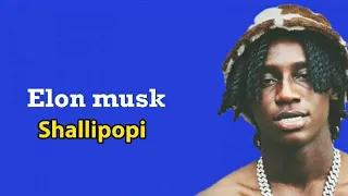 Shallipopi Elon musk [lyrics video]