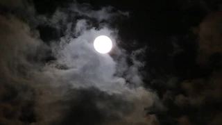 Moonlight Sonata Beethoven L.  Music for Relaxation Ambient Sounds