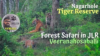 Nagarhole Tiger reserve in India | English version of JLR Forest safari in Coorg Karnataka