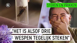 EMMA WORDT GESTOKEN DOOR EEN HOORNAAR! |  Steken en Prikken #8 | NPO Zapp