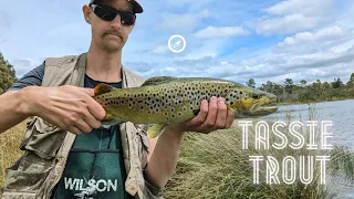 FLY FISHING | NORTHERN TASMANIA