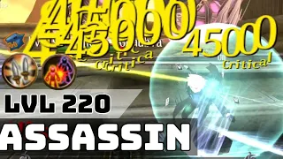 New Lvl 220 Assassin Build - No more spamming skills for damage - Toram Online