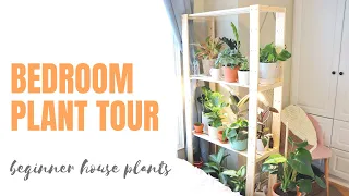 Bedroom House Plant Tour - Easy Beginner Plants