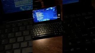 Kali Linux and Sony Vaio P