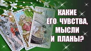 ЕГО ЧУВСТВА, МЫСЛИ и ПЛАНЫ! Какие его намерения в отношении вас? Таро #Shorts YouTube Shorts beta