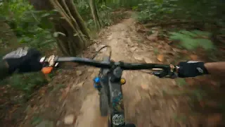 Bukit Timah MTB Trail - Fun (Fast) Sections