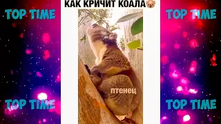 Cмешные видео приколы инстаграма - Funny videos of instagram 2020😎 #27