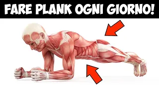 Ecco Cosa Succede Al Tuo Corpo Se Fai Plank Ogni Giorno