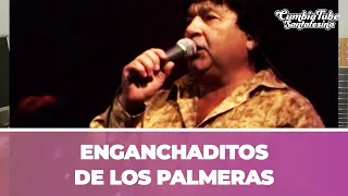 Los Palmeras - Enganchaditos | Cumbia Tube