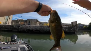 First Time fishing the Des Plaines River - A smorgesboard of fish!