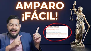 Que es el AMPARO - Roy Stuart Derecho