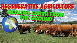 🌳 REGENERATIVE Agriculture 2022[FUTURE of FARMING]