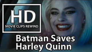 Batman Saves Harley Quinn |  Suicide Squad 2016 | Movie Clips Rewind