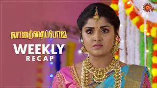 Vanathai Pola | Ep 456 - 461 Recap | Weekly Recap | Sun TV | Tamil Serial