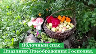 Яблочный спас. Музыкальная открытка. Преображение Господне.