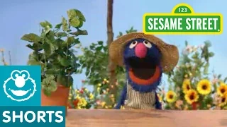 Sesame Street: Grover Talks About Plants