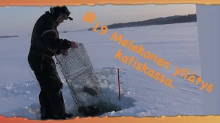 #19 KATISKOILLA: Melkoinen yllätys katiskassa.