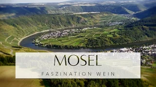 MOSEL - Faszination Wein