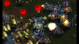 Light! Mini! Artosis! Motive! Queen! Phantom Mode! FFA! - StarCraft Brood War - 2024