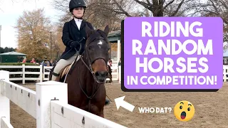 KIDS HORSE SHOW | My first IEA show! | Beginner equestrian competition