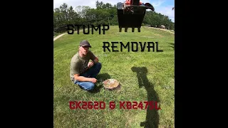 Stump removal w/ the CK2620 and KB2475L