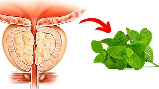 Natural drink for the prostate! Bladder and prostate will be like new!