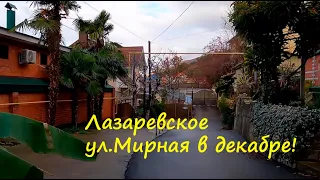 ул Мирная в декабре! Кактусы, мандарины и красивые домики!🌴ЛАЗАРЕВСКОЕ СЕГОДНЯ 🌴СОЧИ.