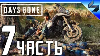 DAYS GONE (Жизнь После) Прохождение ➤ Часть 7 На Русском ➤ PS4 Pro [1080p 60FPS]