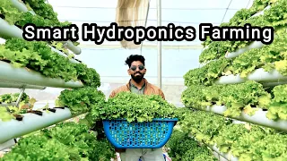 Hydroponic Farming Guide: A Detailed Tour of Innovative Indoor Gardening Techniques