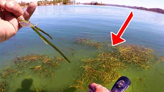 SLAB CRAPPIE HIDDEN IN GRASS!!! Tips For Fishing Grass For Crappie