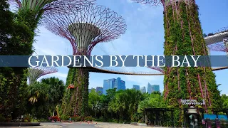 Gardens by the Bay Singapore Walking Tour