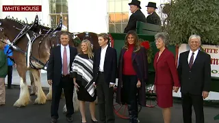 First lady Melania Trump receives White House Christmas tree