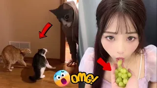 ULTIMATE Try Not To Laugh | Funniest Tik Tok Memes 😂 #2023  | funtush