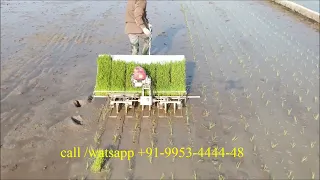 Rice planting Machine India  Paddy Planting Machine   Paddy Planter call watsapp +91 9953444448
