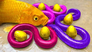 Stop Motion 화려한 장어 Mukbang, 화려한 메기 | 거대한 개구리 수영장, 새끼 오리 - 재미있는 스톱 모션 만화 Rainbow Mahi Mahi Fish